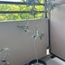 ランキングキーワードに紐づく投稿画像-観葉植物