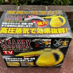 TVお馴染み高圧スチーマー