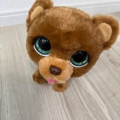 ファーリアル おさんぽこぐまの画像