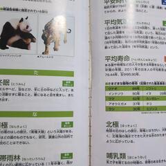 チャレンジ　かがく組の画像