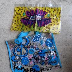 未使用★RNA 音符 ブルー 可愛いプールバック