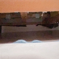 ソファ　取りに来てくださる方限定の画像