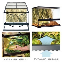 ジャンク品　グラステラリウム　爬虫類ケージ