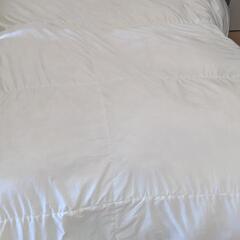 ニトリ羽毛布団 シングルサイズ ホワイト