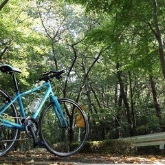 サイクリング仲間募集！(自転車)