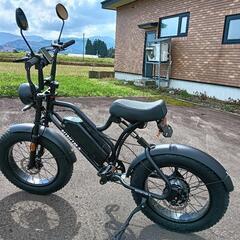 電動自転車　モペット