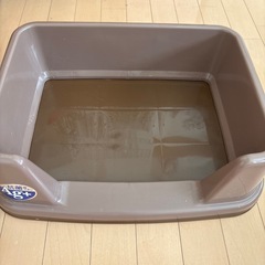 子犬トイレトレー