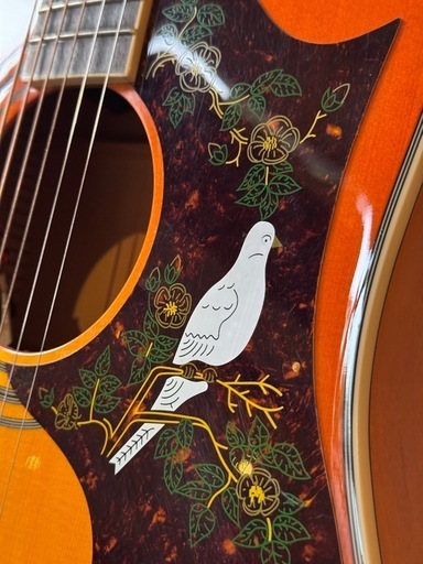 Epiphone Dove Pro エレアコ