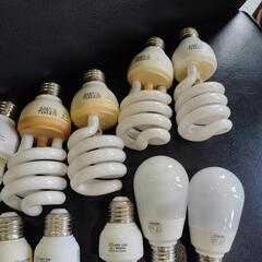 電球形蛍光ランプ　電球　の画像
