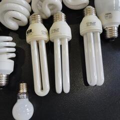 電球形蛍光ランプ　電球　の画像