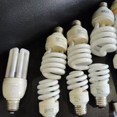 電球形蛍光ランプ　電球　の画像
