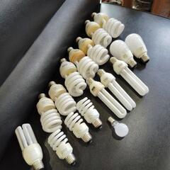 電球形蛍光ランプ　電球　の画像