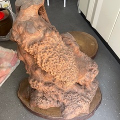 木の根オブジェ古物