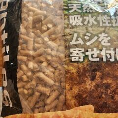 爬虫類　ウッドマットの画像