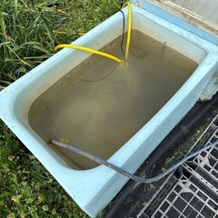 浴槽引き取ります
