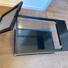 レプテリア　ブラック300 Lowの画像