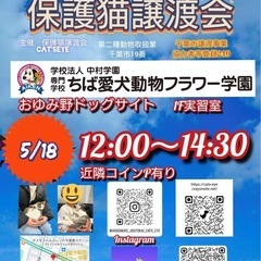 5月18日保護猫譲渡会開催