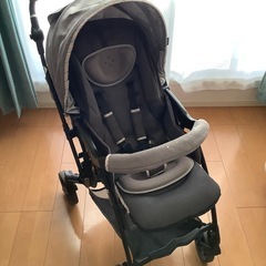 ピジョン  ランフィ リノン RB1LZ