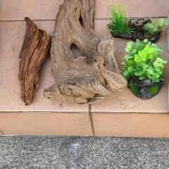 水槽用　流木まとめ売りの画像