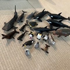 アニア　水族館のいきもの　フィギュアセット