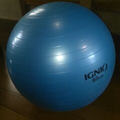 IGNIO(イグニオ)　バランスボール　６５㎝　ブルー