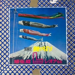 大きい　鯉のぼり　二匹　