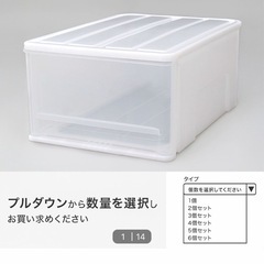 ニトリ　クローゼットケース セレスFD