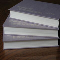 照眞秘流神傳靈術傳書   實川泰仙    照真秘流   照眞秘流の画像