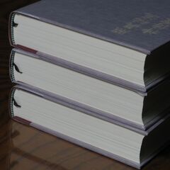 照眞秘流神傳靈術傳書   實川泰仙    照真秘流   照眞秘流の画像