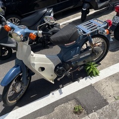 早期購入値下げ対応　カブ　50 　