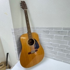Fender アコースティックギター GEMINI Ⅱ