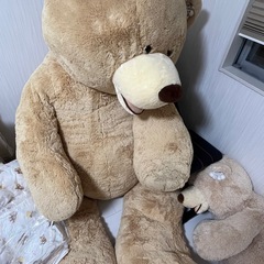 決まりました。の画像