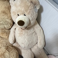 決まりました。の画像