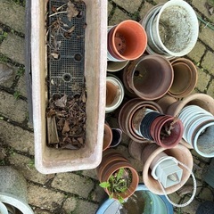 鉢　陶器　プラ　大量　ガーデン　ガーデニング　無料