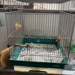 中古の鳥かご（汚れあり）ご理解頂ける方へ差し上げます。