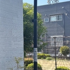 Reebok バスケットゴールの画像