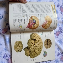 からだの地図帳🐻ྀི🐻ྀの画像