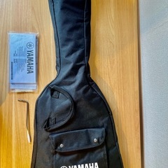 Yamaha Pacifica 112Vの画像