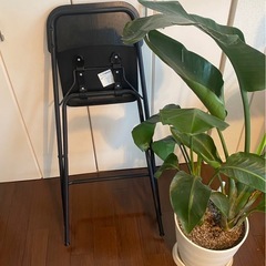 IKEAハイスツールの画像
