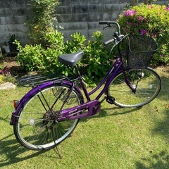 自転車　パープル