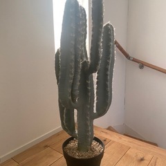サボテン　(フェイク観葉植物)