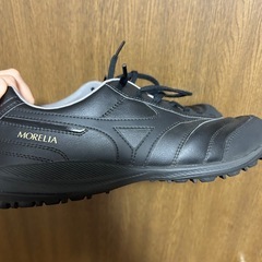 ミズノ　モレリア