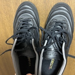 ミズノ　モレリアの画像