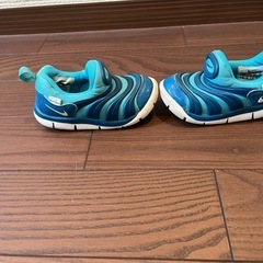 NIKE ダイナモフリー　15cmの画像