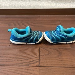 NIKE ダイナモフリー　15cmの画像