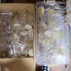 クワガタ幼虫飼育用　使用済みクリアボトル（フタつき　800ccを60本、1100ccボトルを28本　合計68本）無料で差し上げます！の画像