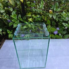 ガラス水槽200ハイ①受け渡し者決定しました。