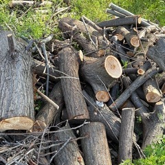 5/5、5/6 来れる方　薪 焚き火 薪ストーブ キャンプファイヤーに 軽トラ いっぱいの画像