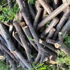 5/5、5/6 来れる方　薪 焚き火 薪ストーブ キャンプファイヤーに 軽トラ いっぱいの画像