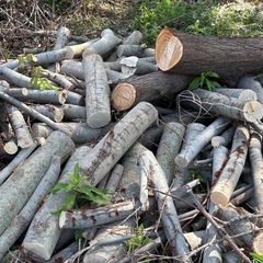 5/5、5/6 来れる方　薪 焚き火 薪ストーブ キャンプファイヤーに 軽トラ いっぱいの画像